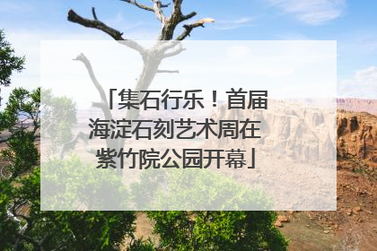 集石行乐！首届海淀石刻艺术周在紫竹院公园开幕