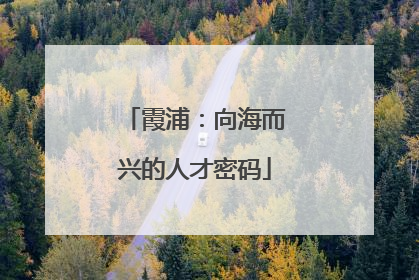 霞浦：向海而兴的人才密码
