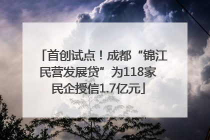 首创试点！成都“锦江民营发展贷”为118家民企授信1.7亿元