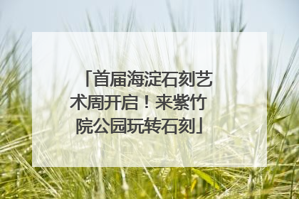 首届海淀石刻艺术周开启！来紫竹院公园玩转石刻
