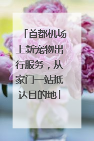 首都机场上新宠物出行服务，从家门一站抵达目的地