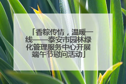 香粽传情，温暖一线——泰安市园林绿化管理服务中心开展端午节慰问活动