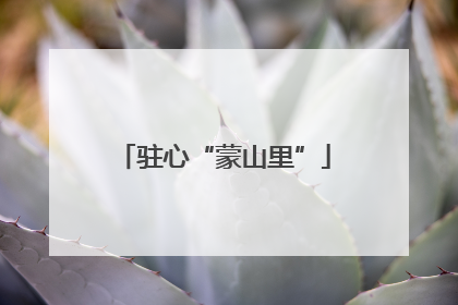 驻心“蒙山里”