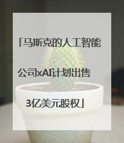 马斯克的人工智能公司xAI计划出售3亿美元股权