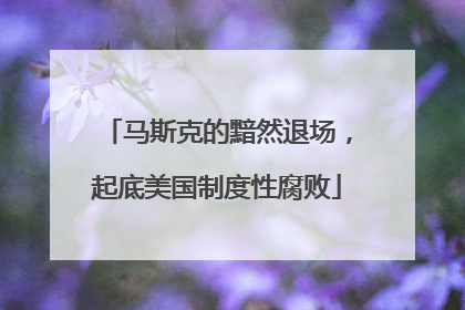 马斯克的黯然退场，起底美国制度性腐败