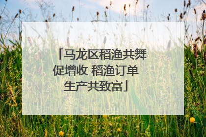 马龙区稻渔共舞促增收 稻渔订单生产共致富