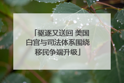 驱逐又送回 美国白宫与司法体系围绕移民争端升级