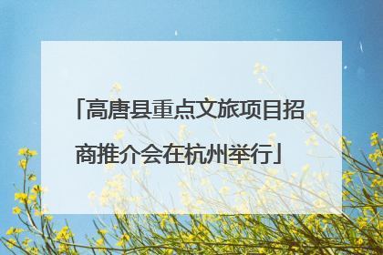高唐县重点文旅项目招商推介会在杭州举行