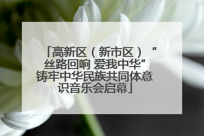 高新区（新市区）“丝路回响 爱我中华”铸牢中华民族共同体意识音乐会启幕
