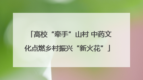 高校“牵手”山村 中药文化点燃乡村振兴“新火花”