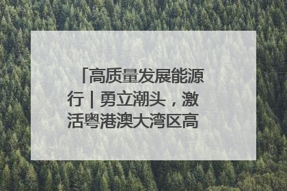 高质量发展能源行｜勇立潮头，激活粤港澳大湾区高质量发展动力源