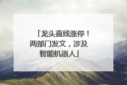 龙头直线涨停！两部门发文，涉及智能机器人