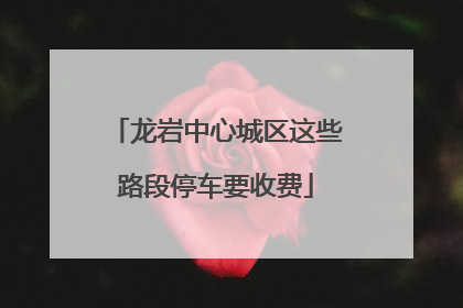 龙岩中心城区这些路段停车要收费