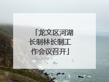 龙文区河湖长制林长制工作会议召开