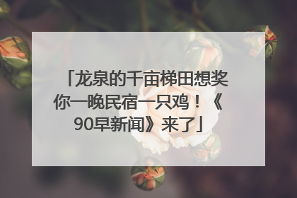龙泉的千亩梯田想奖你一晚民宿一只鸡！《90早新闻》来了