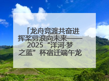 龙舟竞渡共奋进 挥桨劈浪向未来——2025“洋河·梦之蓝”杯宿迁端午龙舟赛侧记
