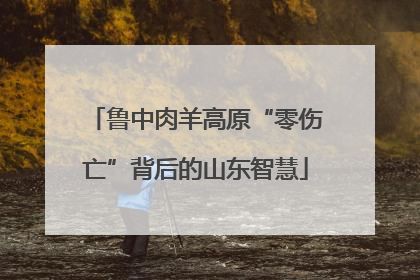 鲁中肉羊高原“零伤亡”背后的山东智慧