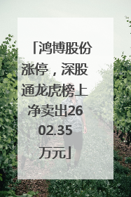 鸿博股份涨停，深股通龙虎榜上净卖出2602.35万元