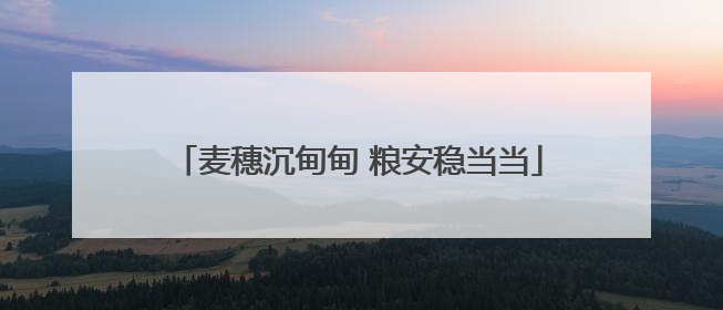 麦穗沉甸甸 粮安稳当当