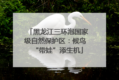 黑龙江三环泡国家级自然保护区：候鸟“带娃”添生机