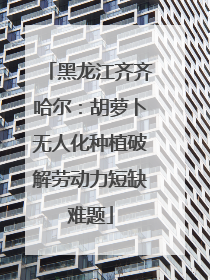 黑龙江齐齐哈尔：胡萝卜无人化种植破解劳动力短缺难题