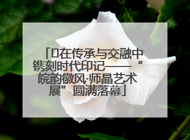 ﻿在传承与交融中镌刻时代印记——“皖韵徽风·师晶艺术展”圆满落幕