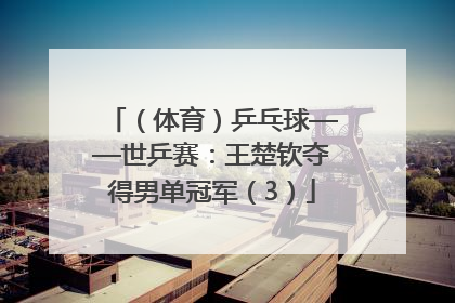 （体育）乒乓球——世乒赛：王楚钦夺得男单冠军（3）