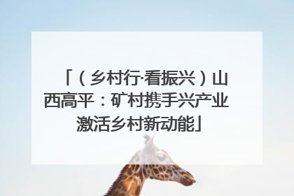 （乡村行·看振兴）山西高平：矿村携手兴产业 激活乡村新动能