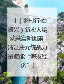 （乡村行·看振兴）新农人绘就共富新图景 浙江庆元统战力量赋能“海拔经济”