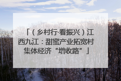 （乡村行·看振兴）江西九江：甜蜜产业拓宽村集体经济“增收路”