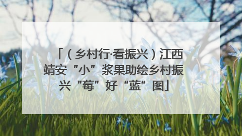 （乡村行·看振兴）江西靖安“小”浆果助绘乡村振兴“莓”好“蓝”图