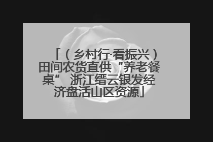 （乡村行·看振兴）田间农货直供“养老餐桌” 浙江缙云银发经济盘活山区资源