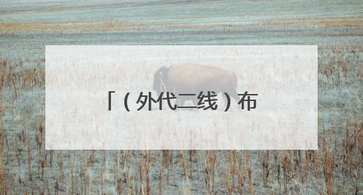 （外代二线）布达佩斯动物和植物园的西伯利亚虎宝宝（2）