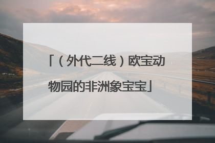 （外代二线）欧宝动物园的非洲象宝宝