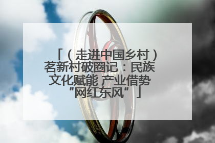 （走进中国乡村）茗新村破圈记：民族文化赋能 产业借势 “网红东风”