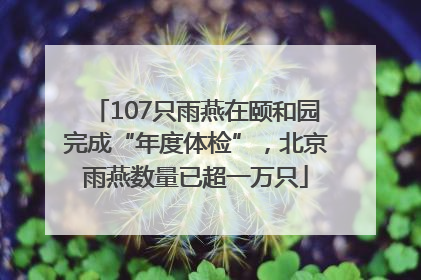 107只雨燕在颐和园完成“年度体检”，北京雨燕数量已超一万只