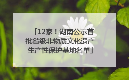 12家！湖南公示首批省级非物质文化遗产生产性保护基地名单