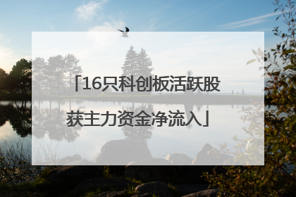 16只科创板活跃股获主力资金净流入