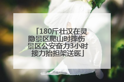 180斤壮汉在灵隐景区爬山时摔伤 景区公安奋力3小时接力抬担架送医
