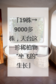 19株→9000多株，天台这一珍稀植物“坐飞的”生长
