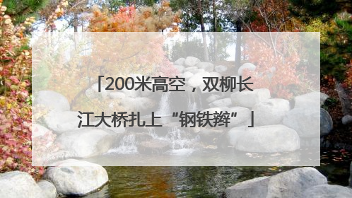 200米高空，双柳长江大桥扎上“钢铁辫”