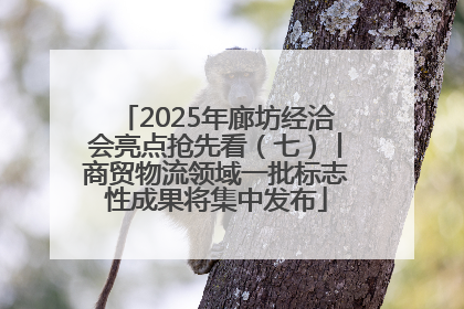 2025年廊坊经洽会亮点抢先看（七）丨商贸物流领域一批标志性成果将集中发布