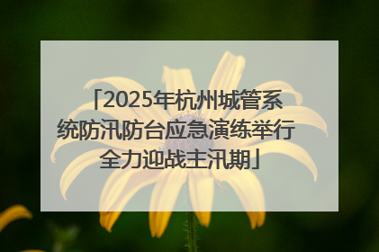 2025年杭州城管系统防汛防台应急演练举行 全力迎战主汛期
