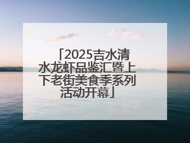 2025吉水清水龙虾品鉴汇暨上下老街美食季系列活动开幕