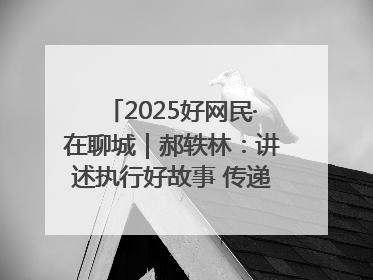 2025好网民·在聊城｜郝轶林：讲述执行好故事 传递司法正能量