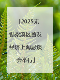 2025无锡梁溪区首发经济上海恳谈会举行