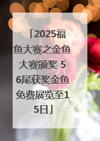 2025福鱼大赛之金鱼大赛颁奖 56尾获奖金鱼免费展览至15日