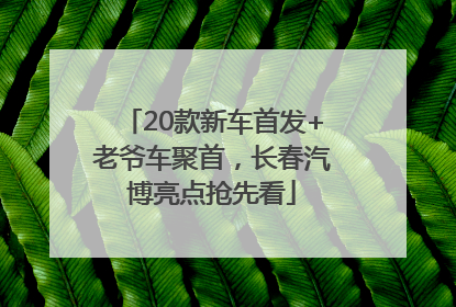 20款新车首发+老爷车聚首，长春汽博亮点抢先看