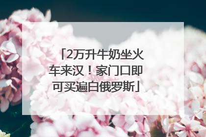 2万升牛奶坐火车来汉！家门口即可买遍白俄罗斯