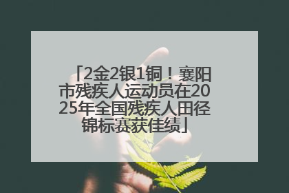 2金2银1铜！襄阳市残疾人运动员在2025年全国残疾人田径锦标赛获佳绩